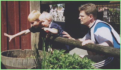 Looking for the animals at the Zoo