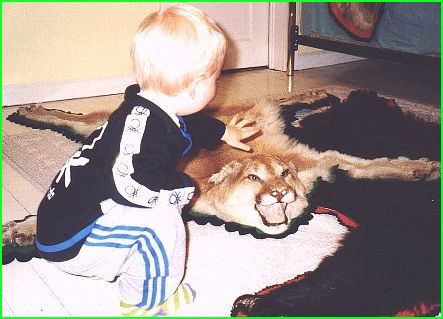 Daniel pets the cougar hide