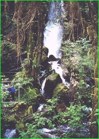 The 3 boys by a waterfall in the Rain Forest